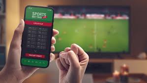 Découvrez le monde de paris sportifs avec betmomo