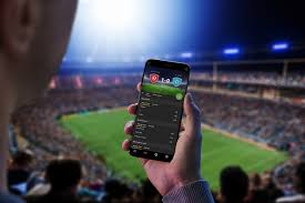 Experience the Thrill of Betting with Baji Live Experience the Thrill of Betting with Baji Live